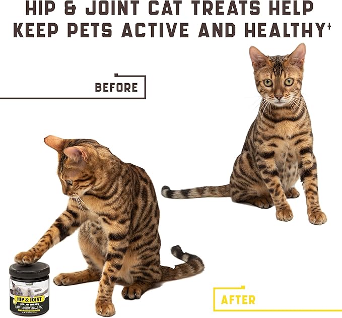 Kinpur Pet Care Natural Glucosamine for Cats - Effective Cat Joint Supplement That Helps Improve Flexibility and Mobility - Hip and Joint Support for Cats - American Quality - 135 Chews (Pack of 1)