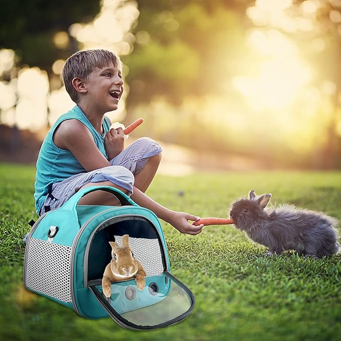 Small Pet Carrier Bag with Mat Guinea Pig Travel Carrier with Strap Portable Breathable Rabbit Carrier Outdoor Pet Bag for Ferret Bunny Hedgehog Guinea Pig(10" L x 10" W x 12" H)