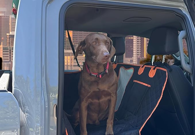 Dog Car Seat Cover for Back Seat for XL Cars, SUVs & Trucks - Durable Car Cover Protector for Dogs, Waterproof Scratchproof, Nonslip Backseat Dog Hammock (Bone)