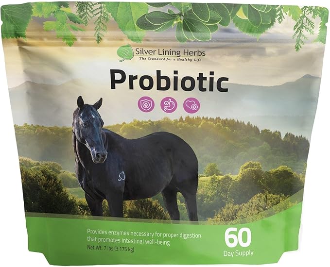 Silver Lining Herbs Horse Probiotic - Micro Encapsulated Probiotics for Equine Digestive Support and a Healthy Gut - Natural Source of Beneficial Bacteria and Enzymes - 7 lb Bag