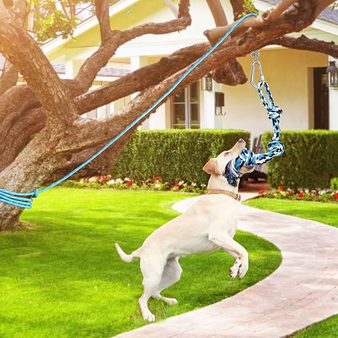 LOOBANI Dog Spring Pole Toy for Pitbull, Outdoor Durable Hanging Rope Tug Toys for Exercise & Muscle Building & Bite Training, Interactive Tug of War Game for Medium to Large Breeds Solo Play(Blue)