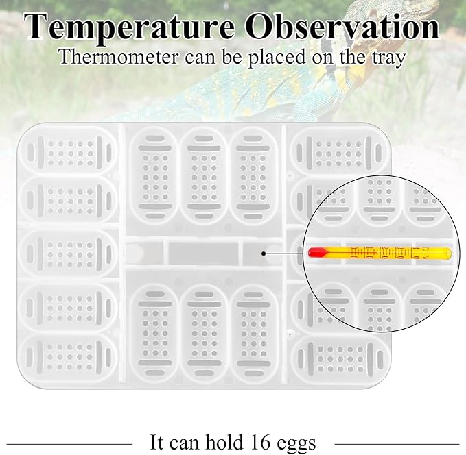 Reptile Egg Incubator Tray: 16 Grids Amphibians Hatchery Box, Reptile Breeding Box, Incubation Box for Hatching Snake, Lizards, Turtle, Gecko Egg Without Thermometer
