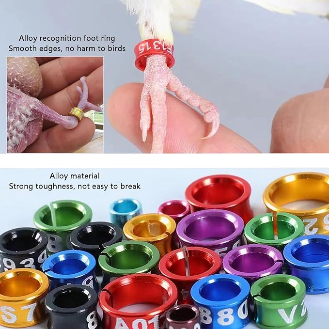 80 Pcs Open Bird Ring Leg Bands,Ultra Lightweight Aluminum Bird Recognition Foot Rings for Parrots,Hibiscus Birds,Peonies,Pigeons,Quails,Rutin Chickens etc (ID:4MM)