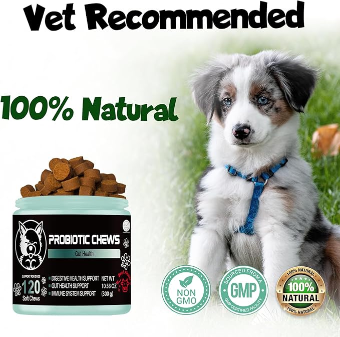 Probiotics for dogs - Probiotic chews for dogs - gut health for dogs - probiotico para perro - digestive enzymes for dogs - dog probiotics - dog health supplies - dog gut health