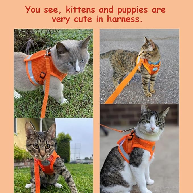 Cat Harnesses and Puppy Harness with Leashes Set, Escape Proof Cat Harness, Adjustable Reflective Soft Mesh Vest Fit Puppy Kitten Rabbit Ferrets's Outdoor Harness