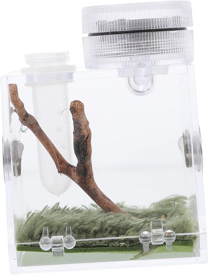 Mipcase 3pcs Box Jumping Spider Breeding Box Snail Spider Habitat Cage Jumping Spider Cage Jumping Spider Enclosure Small Humidifiers Spider Accessory Wood Little Spider Medium Acrylic
