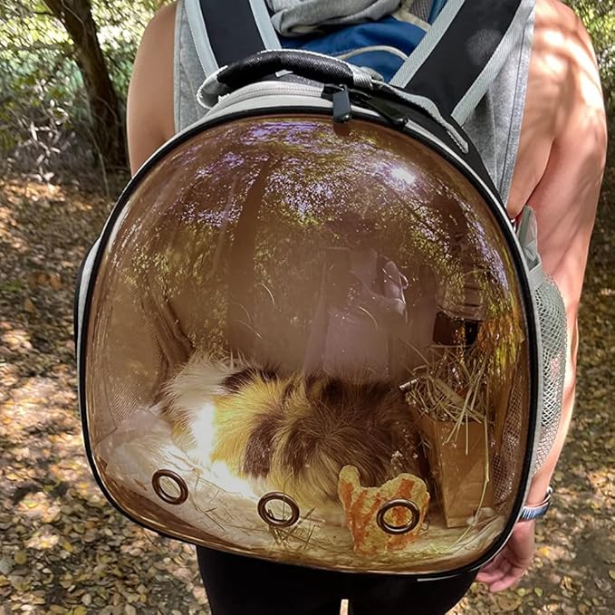 Guinea Pig Backpack Carrier, Bearded Dragon Carrier Backpack with Clear Bubble Window,Small Animal Travel Backpack for Hedgehog Rat Parrot,Rabbit,Sugar Glider,Airline Approved