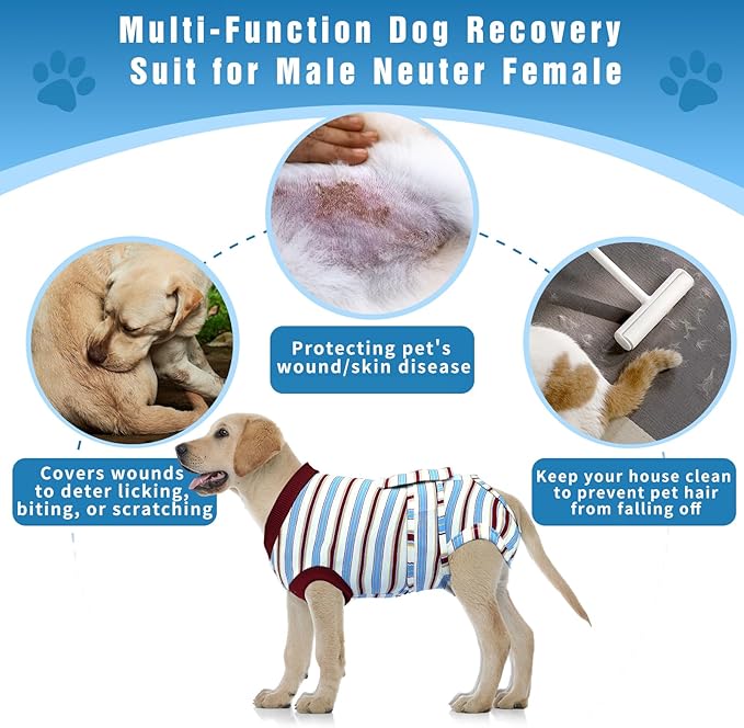 Dog Surgery Rrecovery Suit Dog Onesies for Surgery Recovery Dog Body Suits After Surgery Dog Recovery Suit Surgery Suit for Dogs Dog Surgery Suit Dog Neuter Recovery Suit,S