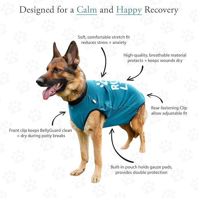 BellyGuard Recovery Suit for Dogs, After Surgery Dog Recovery Suit Female and Male, Soft Cotton Dog Surgery Suit Female Spay, Dog Surgical Recovery Suit Male Neuter, Comfy Surgical Onesie for Dogs.