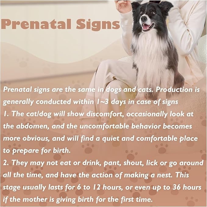 Dog Pregnancy Test Kit at Home, Canine Pregnancy Test Strip for Dog with Buffer Fast and Accurate Detection Pet Clinic Equipment