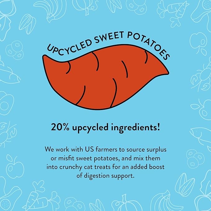 Shameless Pets Crunchy Cat Treats - Kitty Treats for Cats with Skin & Coat Support, Natural Ingredients Kitten Treats with Real Salmon, Healthy Flavored Feline Snacks - Yam Good Salmon, 1-Pk