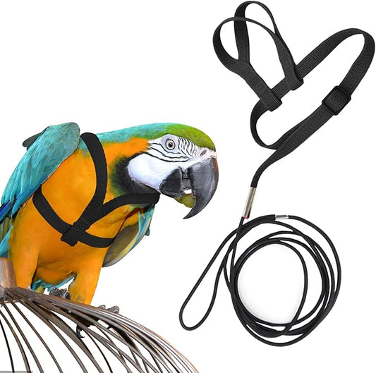 Large Bird Harness and Leash, Bird Harness for Large Parrot, Adjustable Parrot Training Flight Harness Leash for Medium Large Bird Parrot African Grey Amazon Macaw (Black, S)