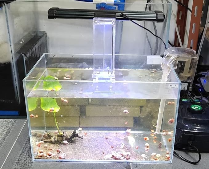Small Nano Tall Rimless Tank, Small Glass Fish Tank, Small Betta Fish Tank, Small Aquarium, min Aquarium, Betta Tank (1.1Gallon 7.8x5.5x5.9inch/20x14x15cm)