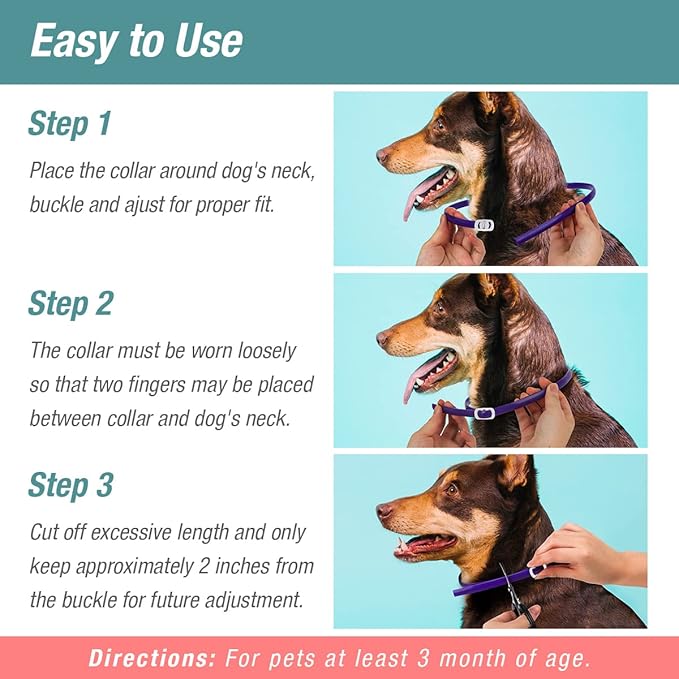 Flea &Tick Collar 2-Pack Purple, Protects from Biting Insects, Adjustable Fits Both Dogs&Cats, Built-in Plant Based Formula, Slow Release Lasting Protection, Waterproof