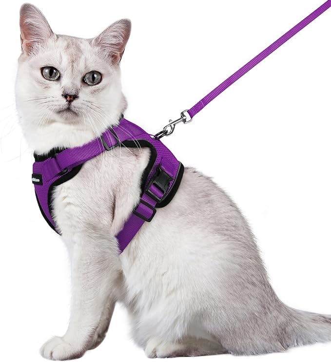 rabbitgoo Cat Harness and Leash for Walking, Escape Proof Soft Adjustable Vest Harnesses for Cats, Easy Control Breathable Reflective Strips Jacket, Purple, M