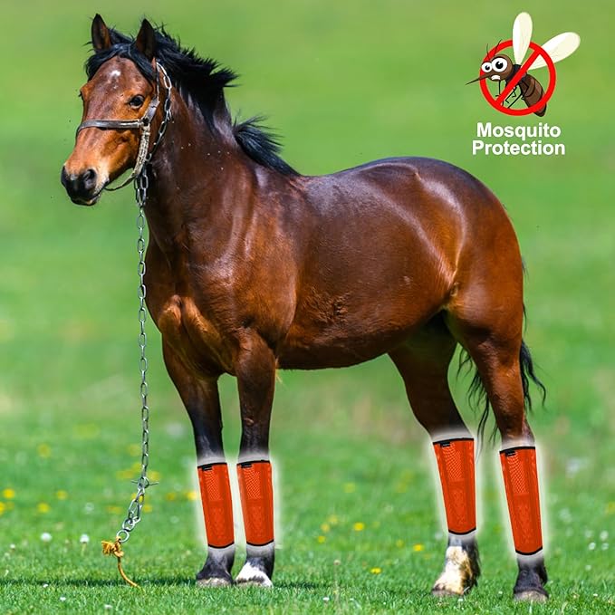 Horse Fly Boots, Adjustable Fly Boots for Horses Set of 4, Comfortable Horse Leggings, Breathable Plastic Mesh Material, Horse Supplies for Reduces Stress & Leg Fatigue (Orange)