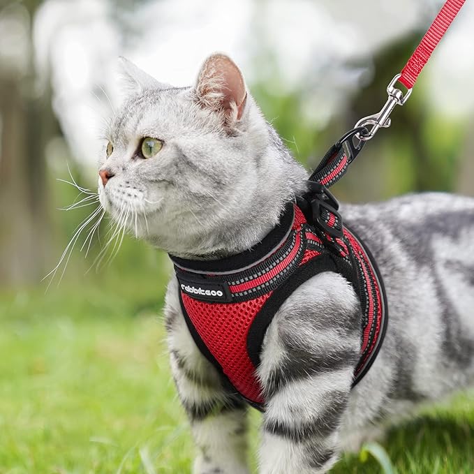 rabbitgoo Cat Harness and Leash Set for Walking Escape Proof, Adjustable Soft Kittens Vest with Reflective Strip for Cats, Comfortable Outdoor Vest, Red, S