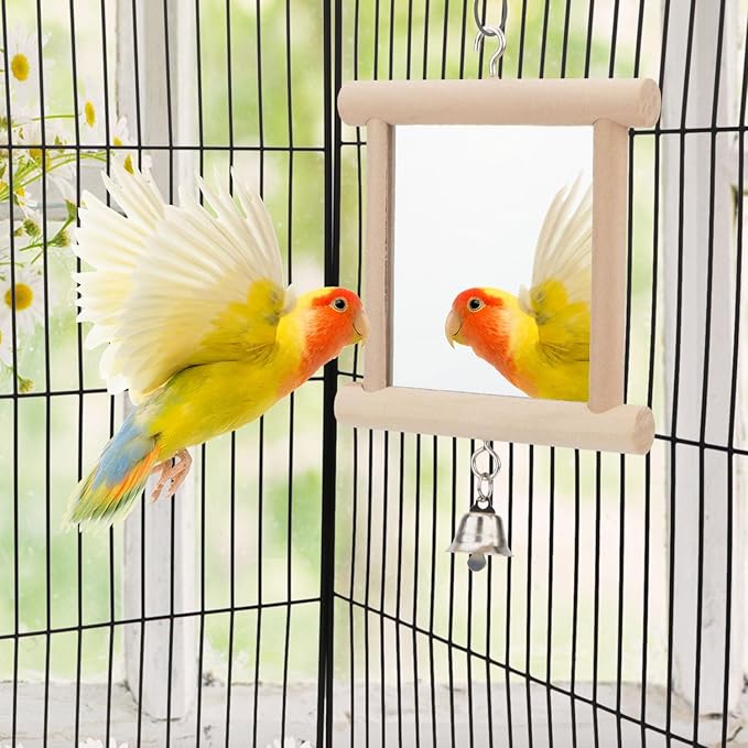 Hypeety Pet Bird Mirror with Bell Interactive Parrot Toy for Parrot Macaw African Greys Budgies Cockatoo Parakeet Cockatiels Conure Lovebird Cage Bells Mirror (C)