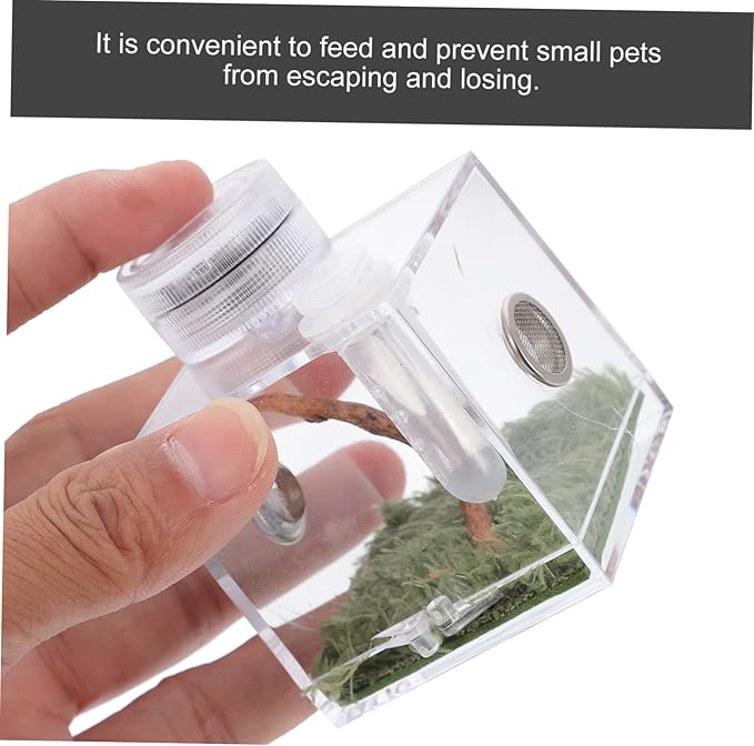 Mipcase 3pcs Box Jumping Spider Breeding Box Snail Spider Habitat Cage Jumping Spider Cage Jumping Spider Enclosure Small Humidifiers Spider Accessory Wood Little Spider Medium Acrylic
