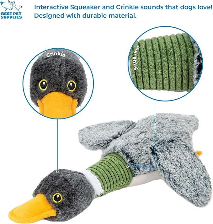 Best Pet Supplies Interactive Mallard Mates Dog Toy with Crinkle and Squeaky Enrichment for Small and Medium Breed Puppies or Dogs, Cute and Plush - Mallard Duck Wing (Gray), Small