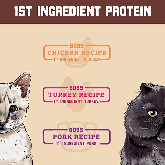 Complete & Balanced Freeze Dried Raw Diet for Cats, Chicken Recipe, 9 oz Bag (Bag of 2)