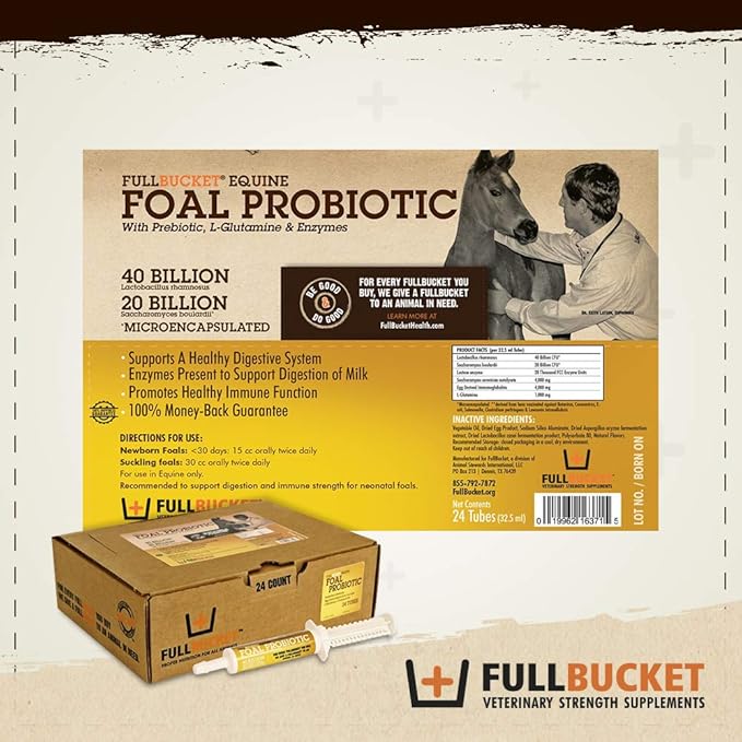 Foal Probiotic Paste (Single)