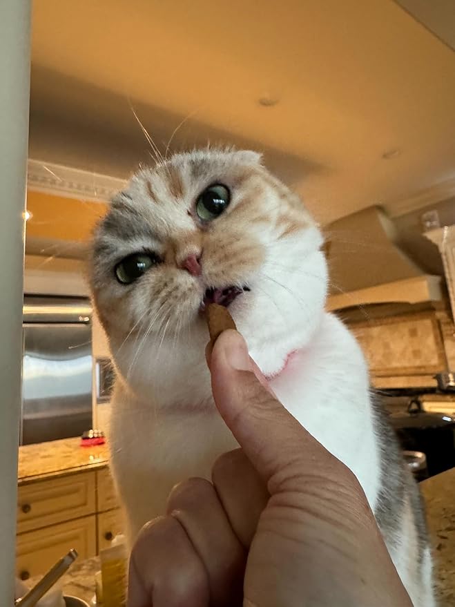 LOVE, NALA - Calming Health Supplement for Cats - 90 Soft Chews - Chamomile, Valerian Root, L-Theanine, and L-Tryptophan - Natural Calming Aid - 3.2 oz