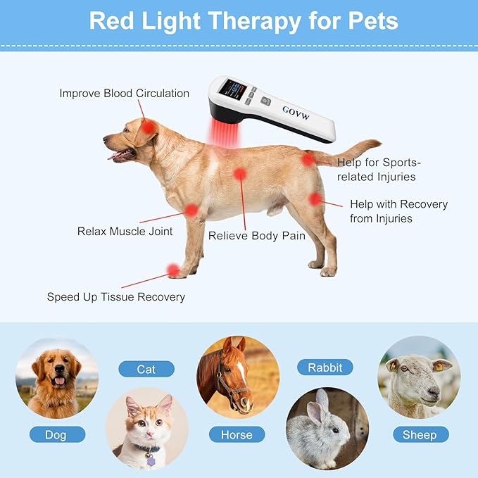 Cold Laser Therapy Device for Dogs, Laser Therapy Device for Pain Relief, 4x808nm+16x650nm, Low Level Laser Therapy for Horses Cats Accelerate Healing, Red Light Therapy for Pets, Equine, Animals