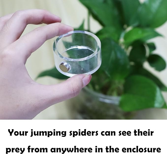 Jumping Spider Feeding Dish, Magnetic Tiny Food Dishes Water Dish for Jumping Spider, Tarantula and Other Small Pets,Transparent