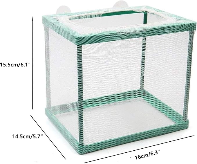 Trinidad Aquarium Fish Breeding Box,Fish Hatchery Isolation Box Large Fish Net Breeder Breeding Container Fish Nursery for Aquarium with Suction Cup Fishing Nets for Tropical Guppy Fish Floating Fish