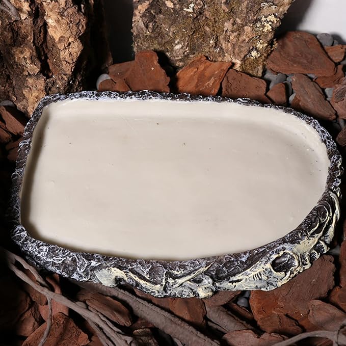 Tfwadmx Reptile Water Bowl Reptile Feeding Dish Reptile Feeder Food and Water Bearded Dragon Food Dish for Lizard Turtle Frog Leopard Gecko Snake Chameleon