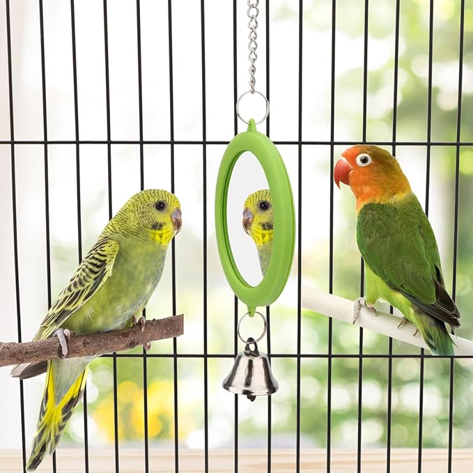 Hypeety Pet Bird Mirror with Bell Interactive Parrot Toy Bird Cage Mirror for Cockatiel Parakeets Canaries Budgie (Green)