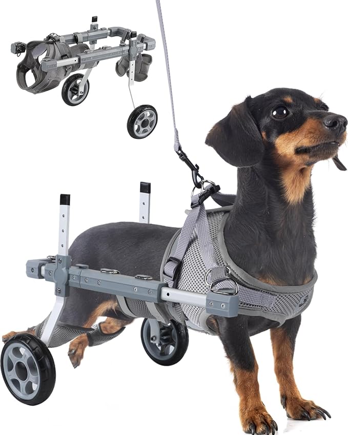 EMUST Small Dog Wheelchair for Back Legs, Wheelchairs for Dogs with Reflective Stripe, Lightweight Doggy Wheelchair, Cat Wheel Chair for Indoor Cats, Grey, XS