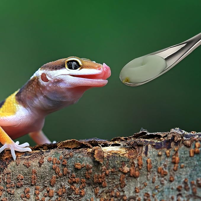 2Pcs Crested Gecko Feeding Spoon, Stainless Steels Reptile Spoon, 7.6 Inch Long Handle Crested Food Feeding Spoon for Gecko Lizard Gargoyle Bearded and Other Small Animals