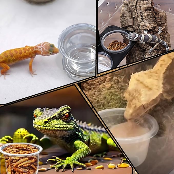 Small Reptile Food Plastic Replacement Cup Worm Water Dish Feeder Lizard Gecko Ceramic Pet Bowls with Tongs for Tortoise Lizard Bearded Dragon Frog Leopard Gecko Snake Chameleon(1 oz, 200PCS)