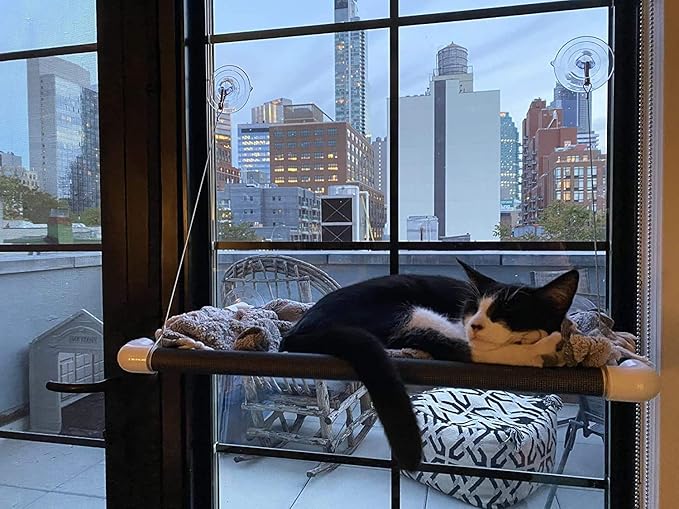 Lcybem Cat Hammocks for Window - Seat Suction Cups Space Saving Cat Bed, Pet Resting Seat Safety Cat Window Perch for Large Cats, Providing All Around 360° Sunbath for Indoor, Weighted up to 33lbs