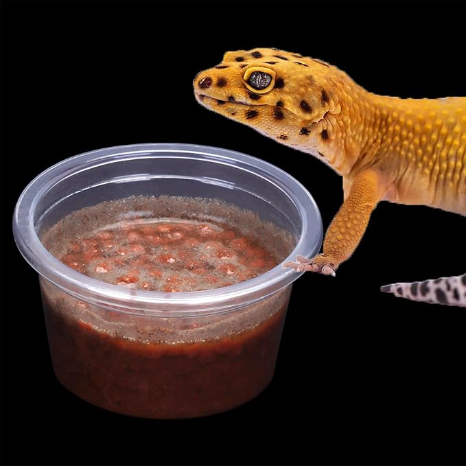 AIICIOO Gecko Feeder Ledge Cup Plastic Bowls Strong Magnetic Reptile Food Feeder Water Dish 50 Pack 1oz