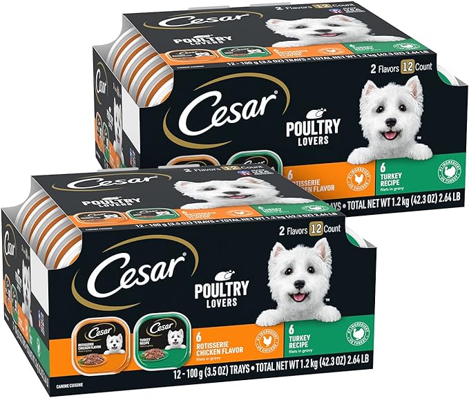 CESAR Filets in Gravy Adult Wet Dog Food, Poultry Lovers Variety Pack, 3.5 oz. Easy Peel Trays, Pack of 24