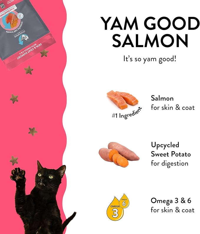Shameless Pets Crunchy Cat Treats - Kitty Treats for Cats with Skin & Coat Support, Natural Ingredients Kitten Treats with Real Salmon, Healthy Flavored Feline Snacks - Yam Good Salmon, 1-Pk