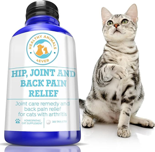 Healthy Animals 4 Ever Arthritis Remedy for Cats - Restore Energy & Vitality - Support Hip & Joint Health - Minimize Pain - All-Natural, Non-GMO, Organic - Preservative & Chemical Free - 300 ct