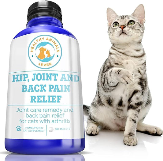 Healthy Animals 4 Ever Arthritis Remedy for Cats - Restore Energy & Vitality - Support Hip & Joint Health - Minimize Pain - All-Natural, Non-GMO, Organic - Preservative & Chemical Free - 300 ct