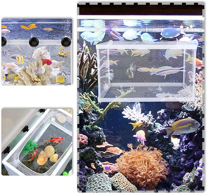 Aquarium Fry Hatchery Net Fine Mesh Fish Hatchery Isolation Net with Suction Cups Hatchery Transparent Isolation Box for Fish Tank