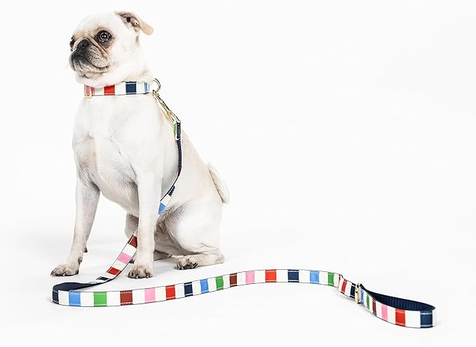 Kate Spade New York Cute Dog Collar, Gold Metal Buckle Dog Collar, 11.5" to 15" Adjustable Dog Collar for Female or Male Dogs, Stylish Dog Collar for Small and Medium Breeds (Adventure Stripe)
