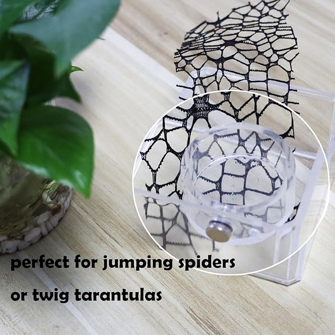 Jumping Spider Feeding Dish, Magnetic Tiny Food Dishes Water Dish for Jumping Spider, Tarantula and Other Small Pets,Transparent