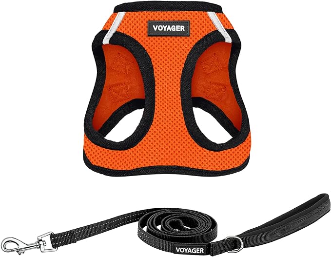 Voyager Step-in Air All Weather Mesh Harness and Reflective Dog 5 ft Leash Combo with Neoprene Handle, for Small, Medium and Large Breed Puppies by Best Pet Supplies - Orange/Black Trim, XXX-Small