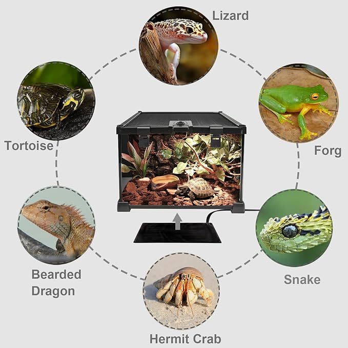 Aiicioo Reptile Heating Pad - 8W Under Tank Heater Terrarium Heating Mat Waterproof for Gecko Turtle Lizard Frog 6" X 8"