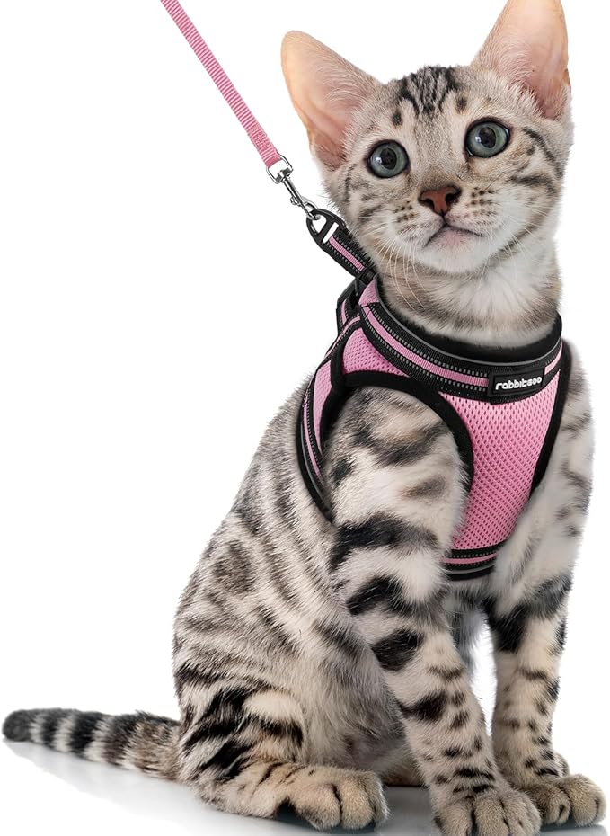 rabbitgoo Cat Harness and Leash Set for Walking Escape Proof, Adjustable Soft Kittens Vest with Reflective Strip for Cats, Comfortable Outdoor Vest, Pink, XL