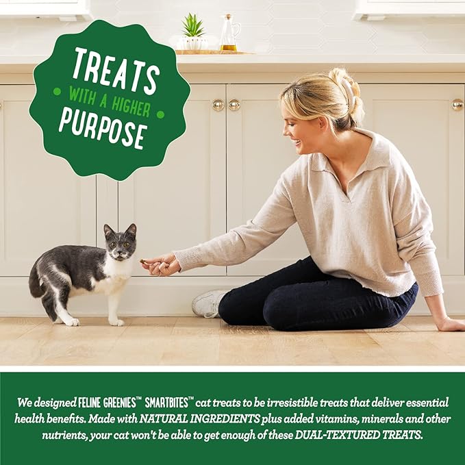 Greenies Feline Smartbites Skin & Fur Crunchy and Soft Textured Adult Natural Cat Treats, Salmon Flavor, 16 oz. Tub