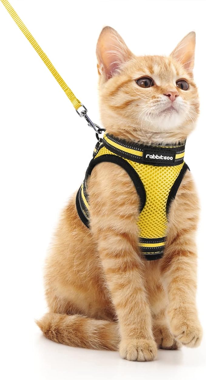 rabbitgoo Cat Harness and Leash Set for Walking Escape Proof, Adjustable Soft Kittens Vest with Reflective Strip for Cats, Comfortable Outdoor Vest, Bright Yellow, M