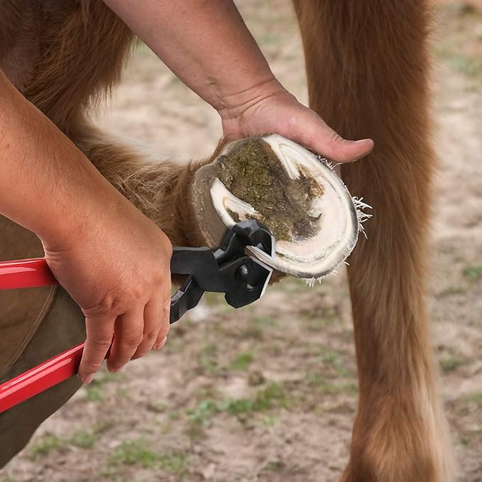 Professional Farrier Tool Kits Hoof rasp hoof Nippers hoof Knife 3 in 1 for Farriers, Veterinarians, and Horsemen